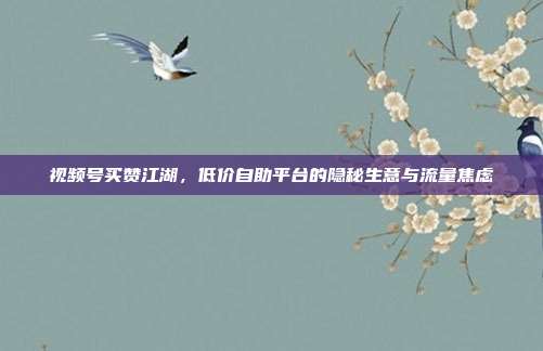 视频号买赞江湖，低价自助平台的隐秘生意与流量焦虑