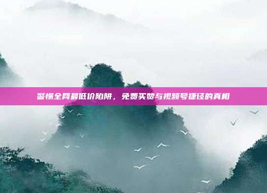 警惕全网最低价陷阱，免费买赞与视频号捷径的真相