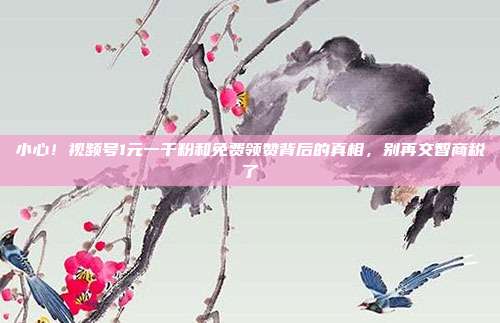 小心！视频号1元一千粉和免费领赞背后的真相，别再交智商税了