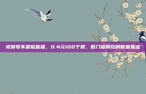 视频号不露脸直播，0.4元100个赞，低门槛背后的数据焦虑