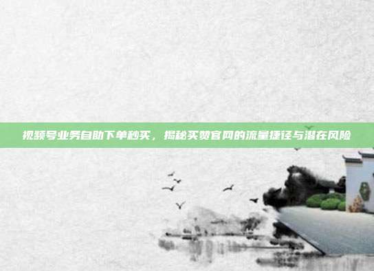 视频号业务自助下单秒买，揭秘买赞官网的流量捷径与潜在风险