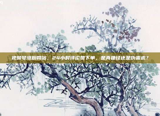 视频号涨粉网站，24小时评论赞下单，是真捷径还是伪需求？