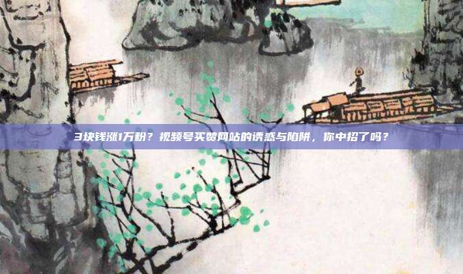 3块钱涨1万粉？视频号买赞网站的诱惑与陷阱，你中招了吗？