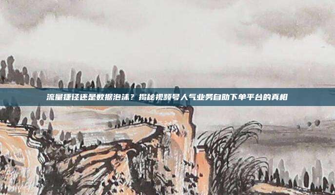 流量捷径还是数据泡沫？揭秘视频号人气业务自助下单平台的真相