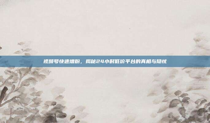 视频号快速增粉，揭秘24小时低价平台的真相与隐忧