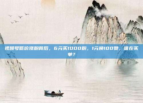 视频号低价涨粉背后，6元买1000粉，1元换100赞，谁在买单？