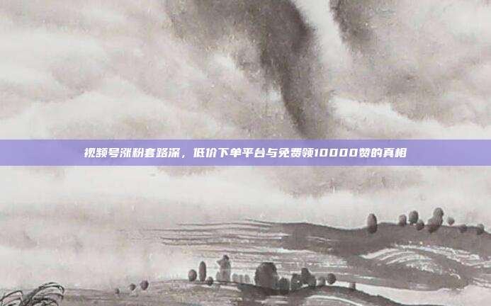 视频号涨粉套路深，低价下单平台与免费领10000赞的真相