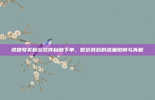 视频号买粉丝软件自助下单，低价背后的流量陷阱与真相