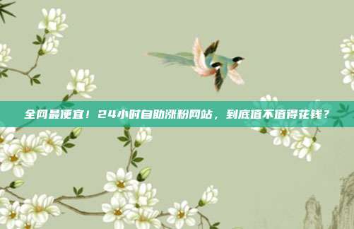 全网最便宜！24小时自助涨粉网站，到底值不值得花钱？