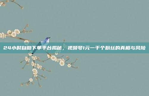 24小时自助下单平台揭秘，视频号1元一千个粉丝的真相与风险