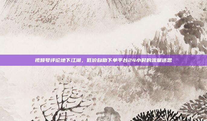 视频号评论地下江湖，低价自助下单平台24小时的流量迷思