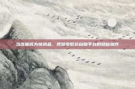 当流量成为快消品，视频号低价自助平台的隐秘操作