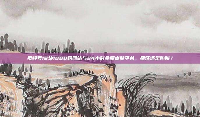 视频号19块1000粉网站与24小时免费点赞平台，捷径还是陷阱？