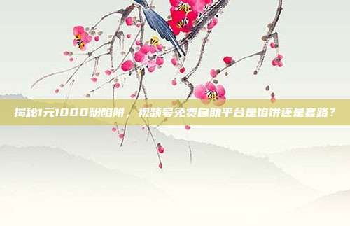 揭秘1元1000粉陷阱，视频号免费自助平台是馅饼还是套路？