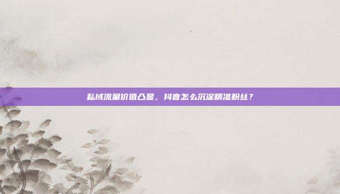 私域流量价值凸显，抖音怎么沉淀精准粉丝？
