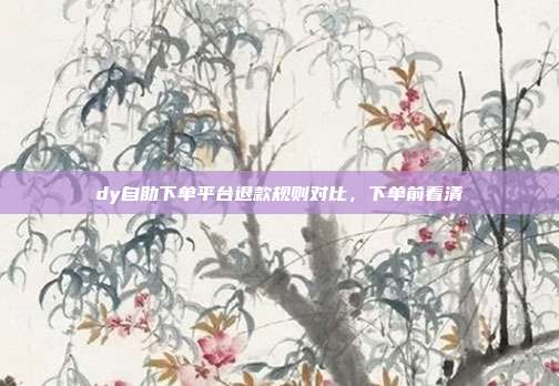 dy自助下单平台退款规则对比,下单前看清