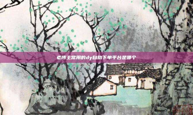 老博主常用的dy自助下单平台是哪个