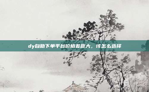 dy自助下单平台价格差距大,该怎么选择