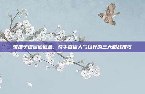 夜猫子流量池掘金，快手直播人气拉升的三大暗战技巧