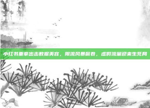 小红书重拳出击数据美容,限流风暴席卷,虚假流量迎来生死局