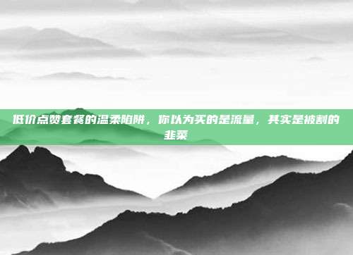 低价点赞套餐的温柔陷阱，你以为买的是流量，其实是被割的韭菜