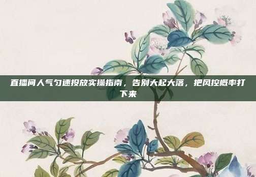 直播间人气匀速投放实操指南，告别大起大落，把风控概率打下来