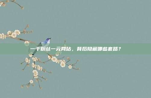 一千粉丝一元网站,背后隐藏哪些套路?