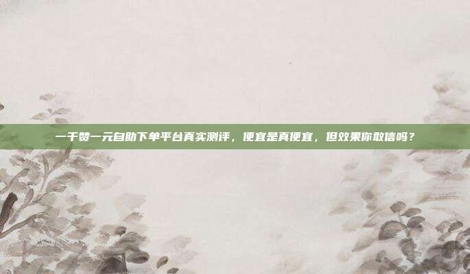 一千赞一元自助下单平台真实测评,便宜是真便宜,但效果你敢信吗?