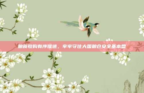 粮食收购有序推进,牢牢守住大国粮仓安全基本盘