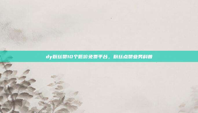 dy粉丝赞10个低价免费平台,粉丝点赞业务科普