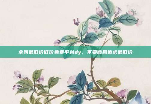 全网最低价低价免费平台dy，不要盲目追求最低价