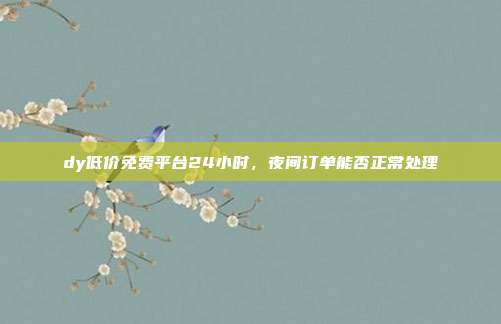 dy低价免费平台24小时,夜间订单能否正常处理