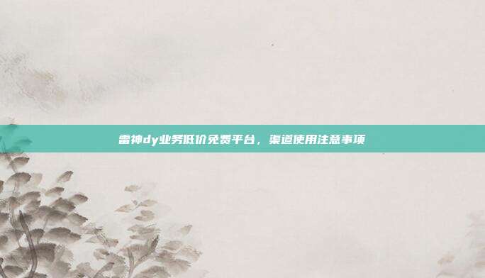 雷神dy业务低价免费平台,渠道使用注意事项