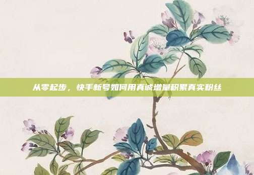从零起步，快手新号如何用真诚增量积累真实粉丝