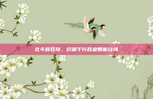 北斗耀苍穹，织就千行百业智能经纬