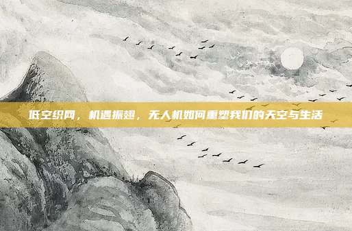低空织网，机遇振翅，无人机如何重塑我们的天空与生活