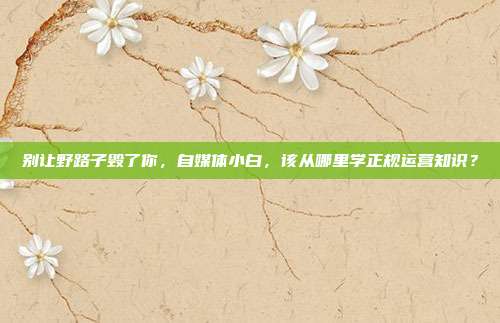 别让野路子毁了你,自媒体小白,该从哪里学正规运营知识?