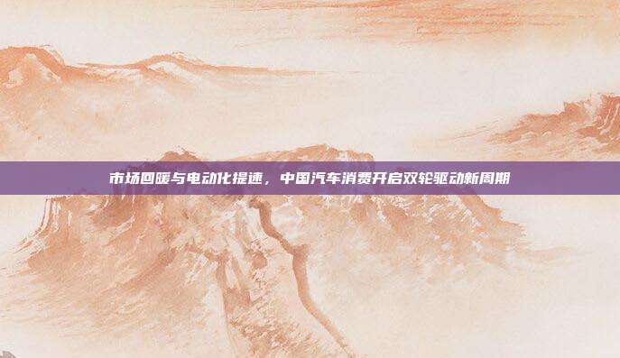 市场回暖与电动化提速，中国汽车消费开启双轮驱动新周期