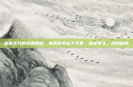 血本无归的快捷通道,电商账号私下交易,法律不认,风险自担