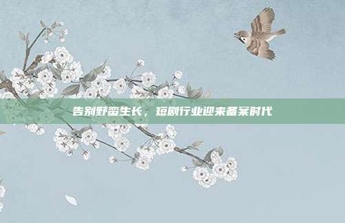 告别野蛮生长，短剧行业迎来备案时代