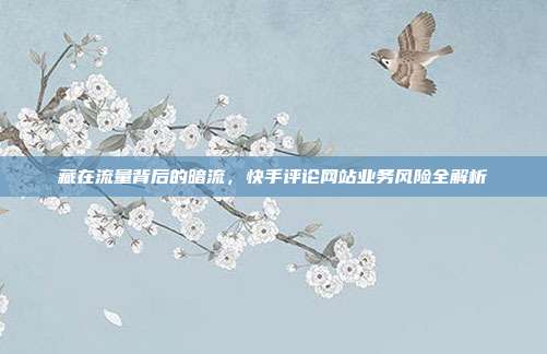 藏在流量背后的暗流,快手评论网站业务风险全解析