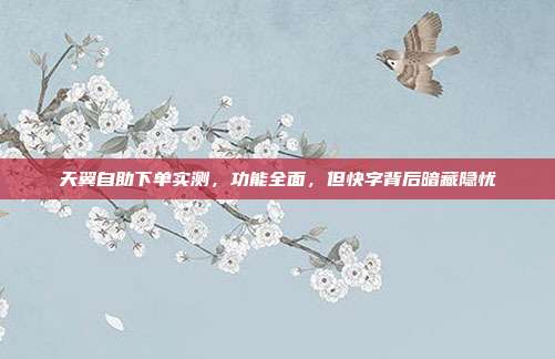 天翼自助下单实测,功能全面,但快字背后暗藏隐忧