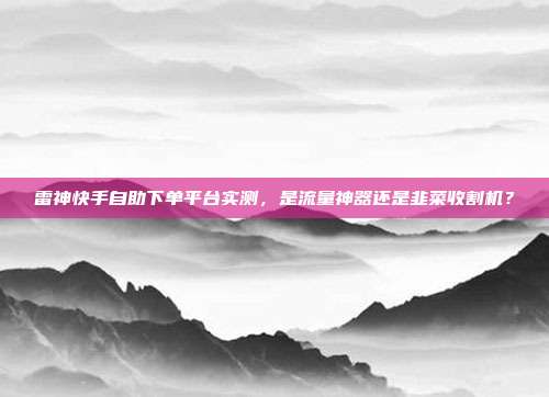 雷神快手自助下单平台实测,是流量神器还是韭菜收割机?