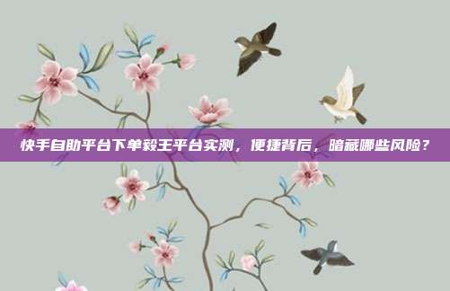 快手自助平台下单毅王平台实测,便捷背后,暗藏哪些风险?