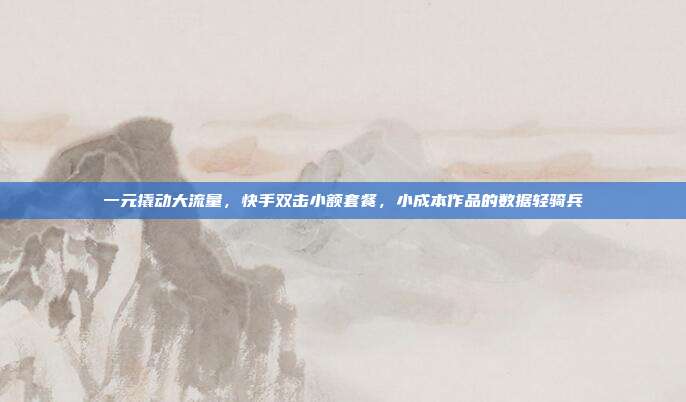 一元撬动大流量,快手双击小额套餐,小成本作品的数据轻骑兵