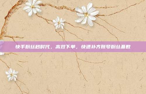 快手粉丝秒时代,高效下单,快速补齐账号粉丝基数