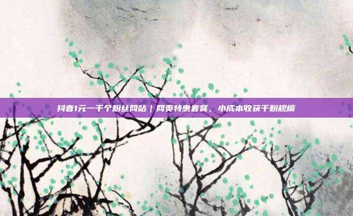 抖音1元一千个粉丝网站|网页特惠套餐,小成本收获千粉规模