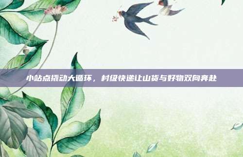 小站点撬动大循环，村级快递让山货与好物双向奔赴
