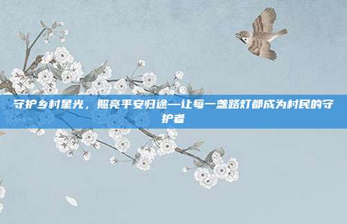 守护乡村星光,照亮平安归途—让每一盏路灯都成为村民的守护者