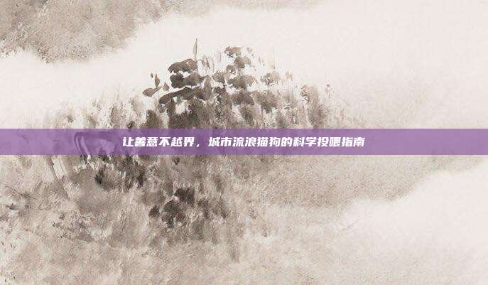 让善意不越界,城市流浪猫狗的科学投喂指南